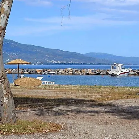 Hotel Filoxenia Volos